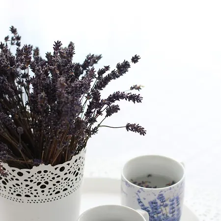 לינה וארוחת בוקר Meteor 3*