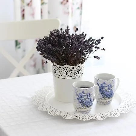 Nocleg ze śniadaniem Meteor