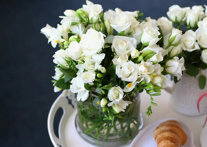 Meteor 3* كلوج-نابوكا