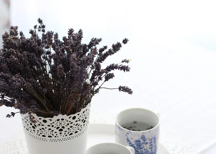 فندق مبيت وإفطار Meteor 3*