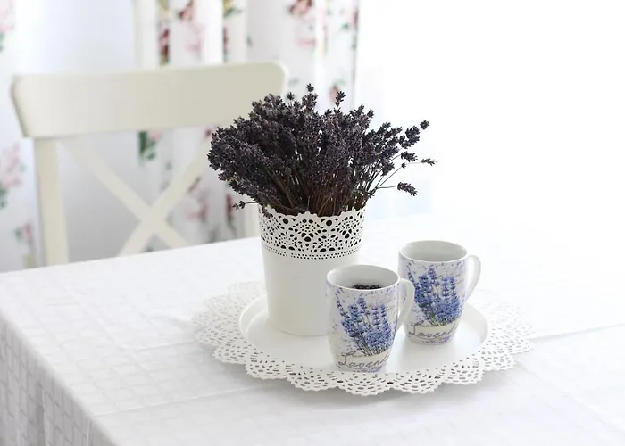 فندق مبيت وإفطار Meteor